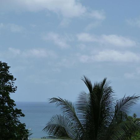 Les Hauts De Deshaies Luaran gambar
